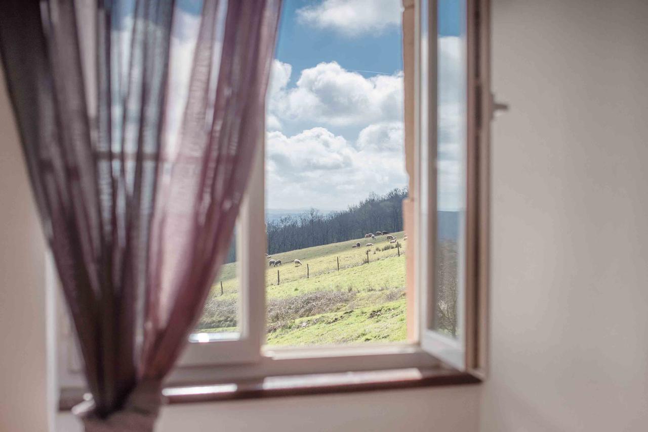 Chambres D'Hotes Le Pignie Lescure-dʼAlbigeois Εξωτερικό φωτογραφία